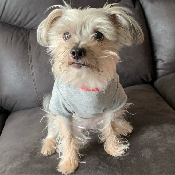 Meet your Posher, Michael - Picture 1 of 1